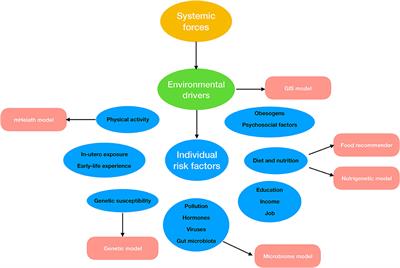 Applications of Machine Learning Models to Predict and Prevent Obesity: A Mini-Review